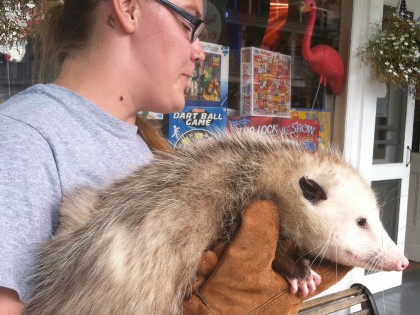 A visit with Opal!